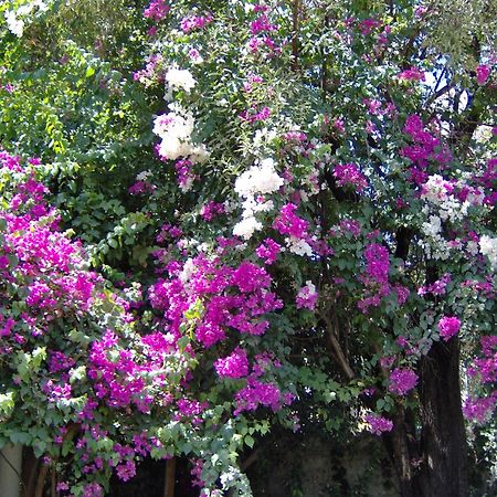 Hotel Gulec Bodrum Esterno foto